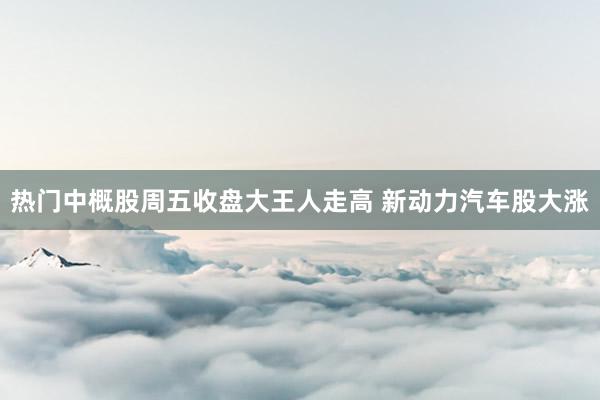 热门中概股周五收盘大王人走高 新动力汽车股大涨