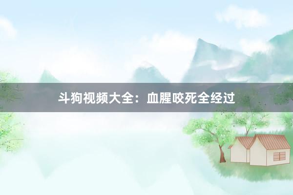 斗狗视频大全：血腥咬死全经过