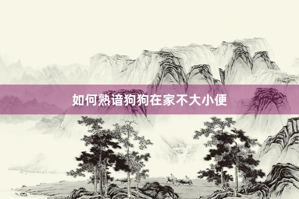 如何熟谙狗狗在家不大小便